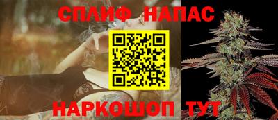гашик Камышлов