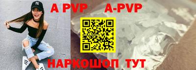 гашик Камышлов