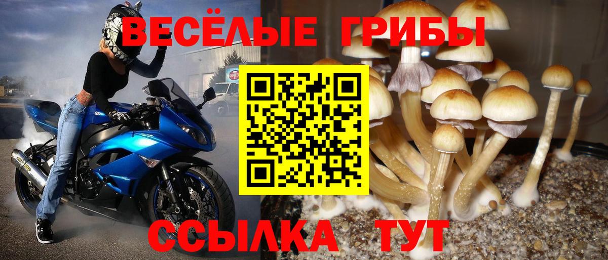 Галлюциногенные грибы MAGIC MUSHROOMS  Псилоцибиновые грибы Magic Shrooms  Краснокамск  Вход с VPN 